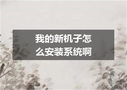 我的新机子怎么安装系统啊