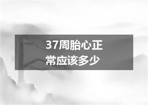 37周胎心正常应该多少