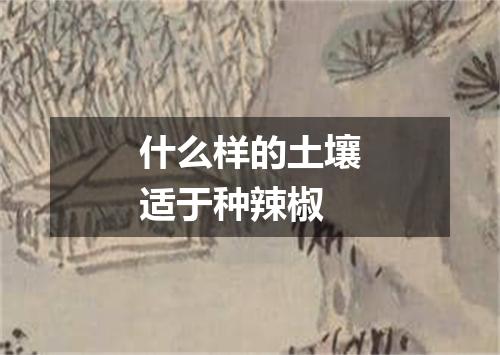 什么样的土壤适于种辣椒