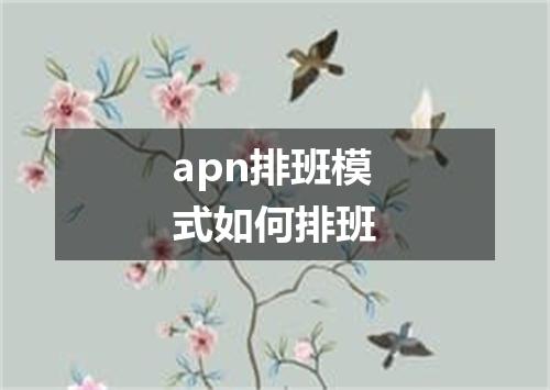 apn排班模式如何排班