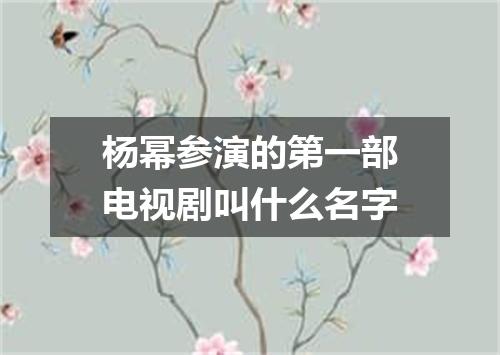 杨幂参演的第一部电视剧叫什么名字