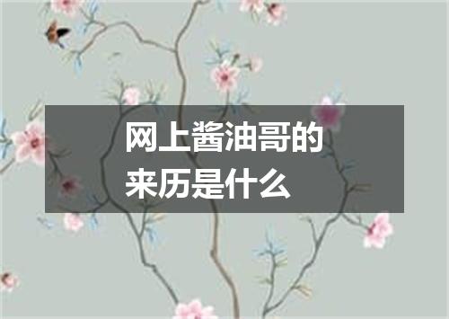 网上酱油哥的来历是什么
