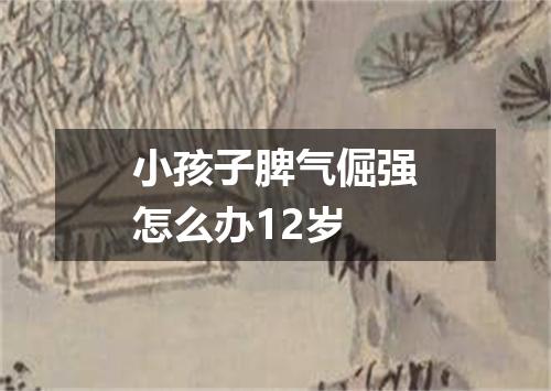 小孩子脾气倔强怎么办12岁