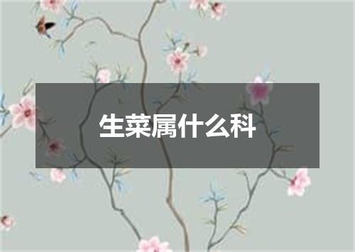 生菜属什么科