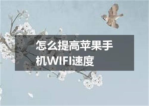 怎么提高苹果手机WIFI速度