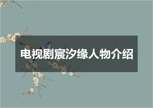 电视剧宸汐缘人物介绍