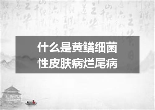 什么是黄鳝细菌性皮肤病烂尾病