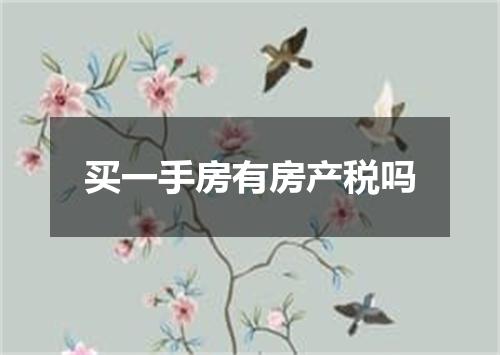 买一手房有房产税吗