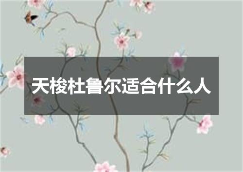 天梭杜鲁尔适合什么人