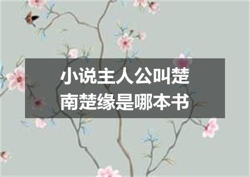 小说主人公叫楚南楚缘是哪本书
