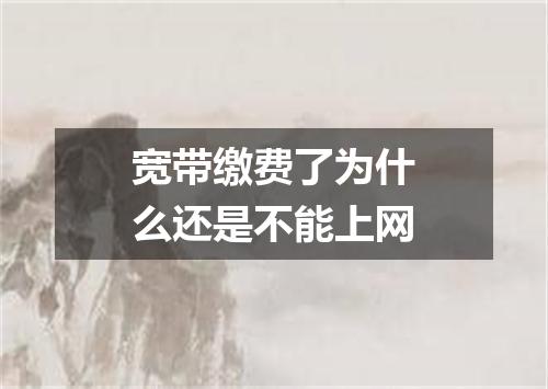 宽带缴费了为什么还是不能上网