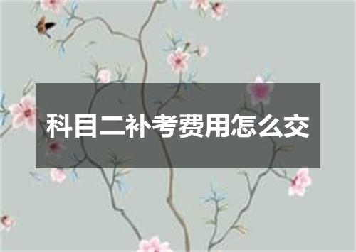 科目二补考费用怎么交