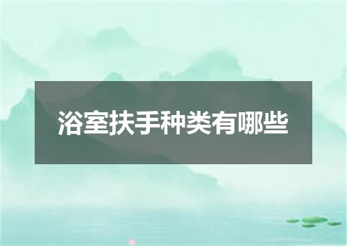 浴室扶手种类有哪些