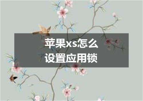 苹果xs怎么设置应用锁