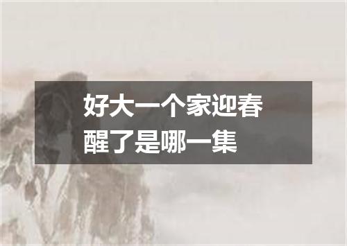 好大一个家迎春醒了是哪一集