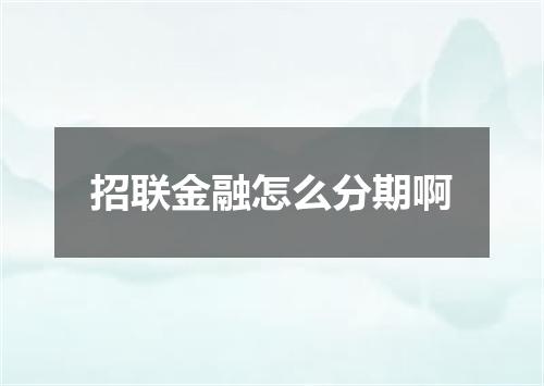 招联金融怎么分期啊