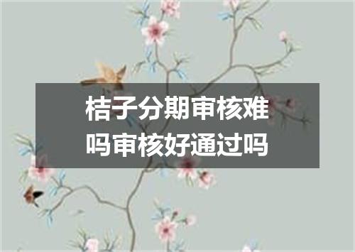 桔子分期审核难吗审核好通过吗