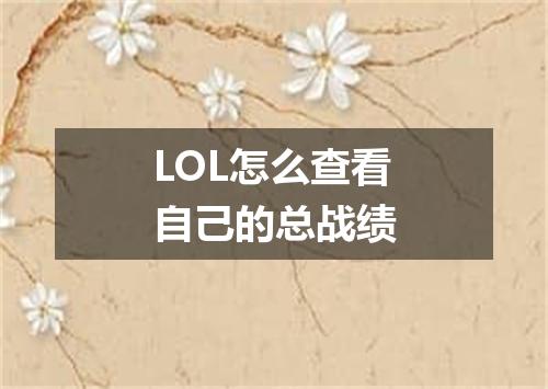 LOL怎么查看自己的总战绩
