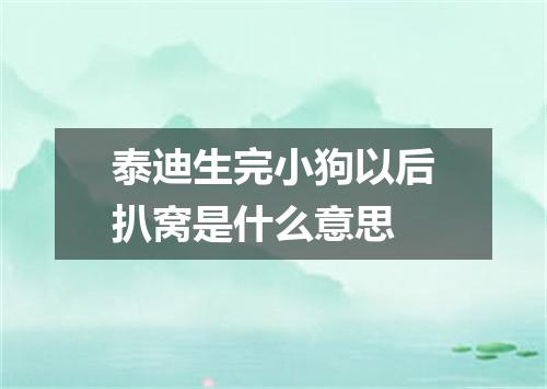 泰迪生完小狗以后扒窝是什么意思