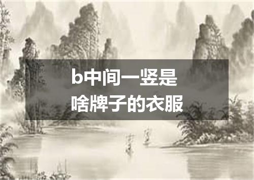 b中间一竖是啥牌子的衣服