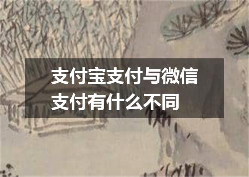 支付宝支付与微信支付有什么不同