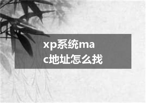 xp系统mac地址怎么找