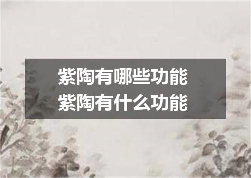 紫陶有哪些功能 紫陶有什么功能