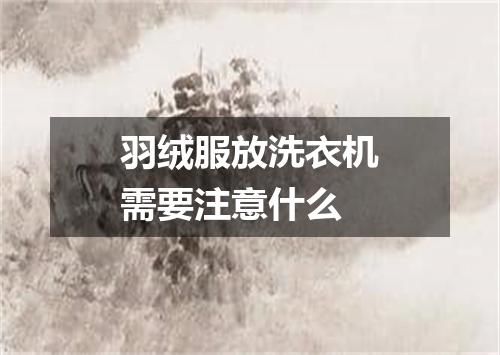 羽绒服放洗衣机需要注意什么