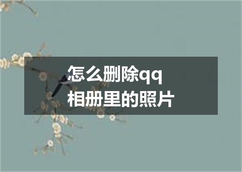 怎么删除qq相册里的照片