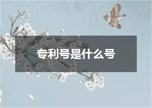 专利号是什么号