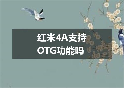 红米4A支持OTG功能吗