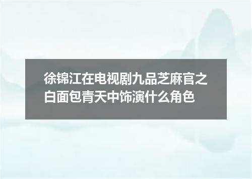 徐锦江在电视剧九品芝麻官之白面包青天中饰演什么角色