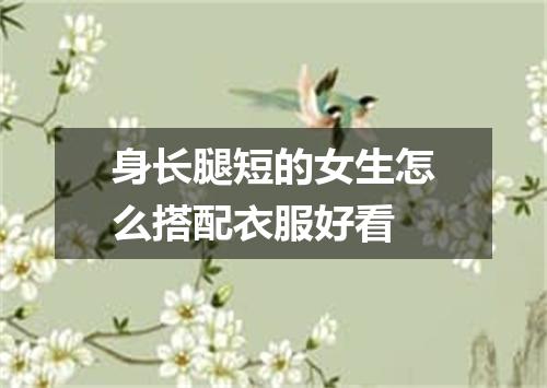 身长腿短的女生怎么搭配衣服好看