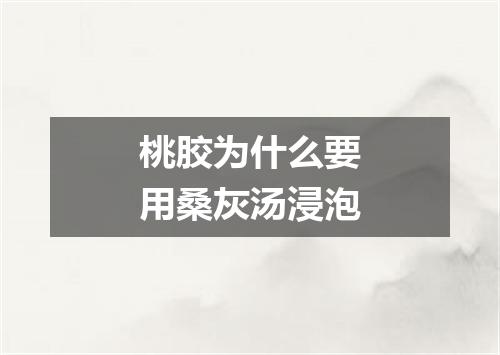 桃胶为什么要用桑灰汤浸泡