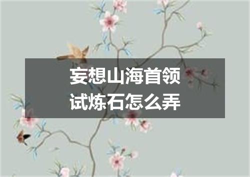 妄想山海首领试炼石怎么弄