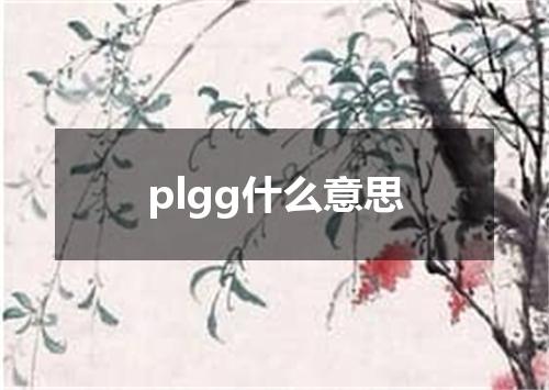 plgg什么意思