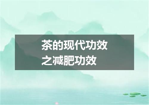 茶的现代功效之减肥功效