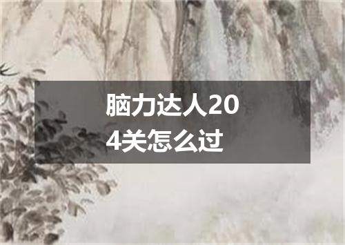 脑力达人204关怎么过