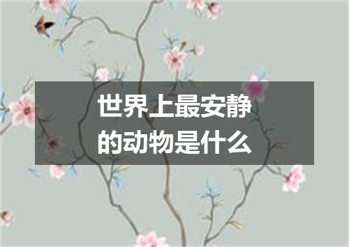 世界上最安静的动物是什么