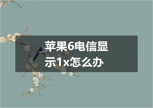 苹果6电信显示1x怎么办