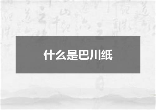 什么是巴川纸