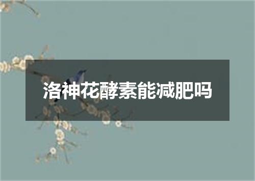洛神花酵素能减肥吗