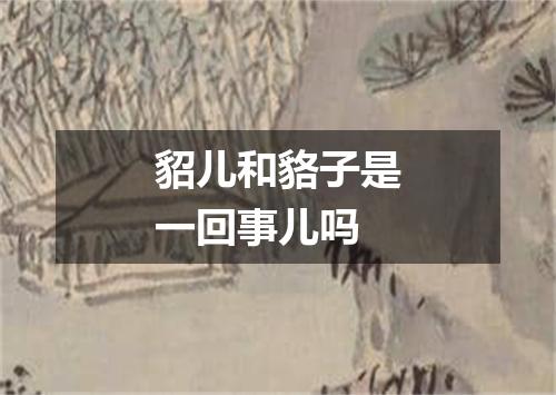 貂儿和貉子是一回事儿吗