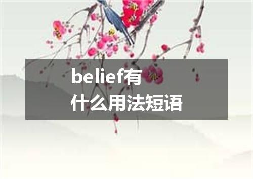 belief有什么用法短语