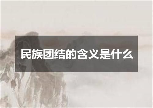 民族团结的含义是什么