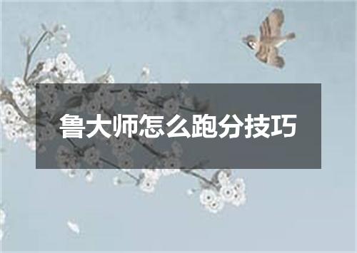 鲁大师怎么跑分技巧