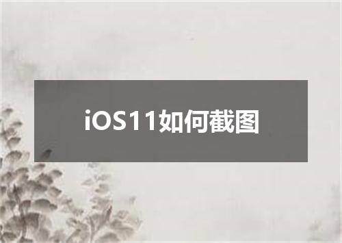 iOS11如何截图
