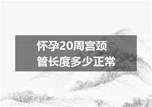 怀孕20周宫颈管长度多少正常
