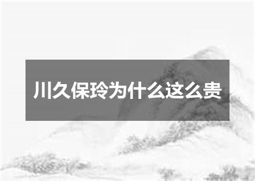 川久保玲为什么这么贵