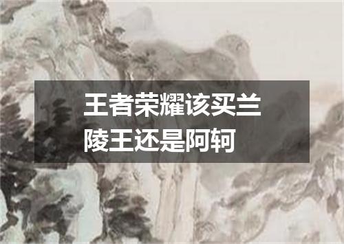 王者荣耀该买兰陵王还是阿轲